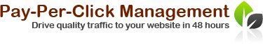 Pay Per Click Management Service